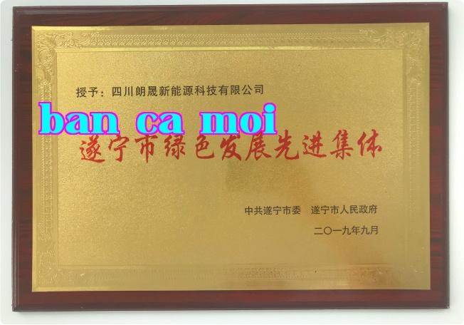 Tập thể tiên tiến về phát triển xanh thành phố Thuận Định